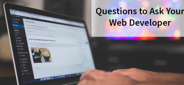Questions to Ask Your Web Developer